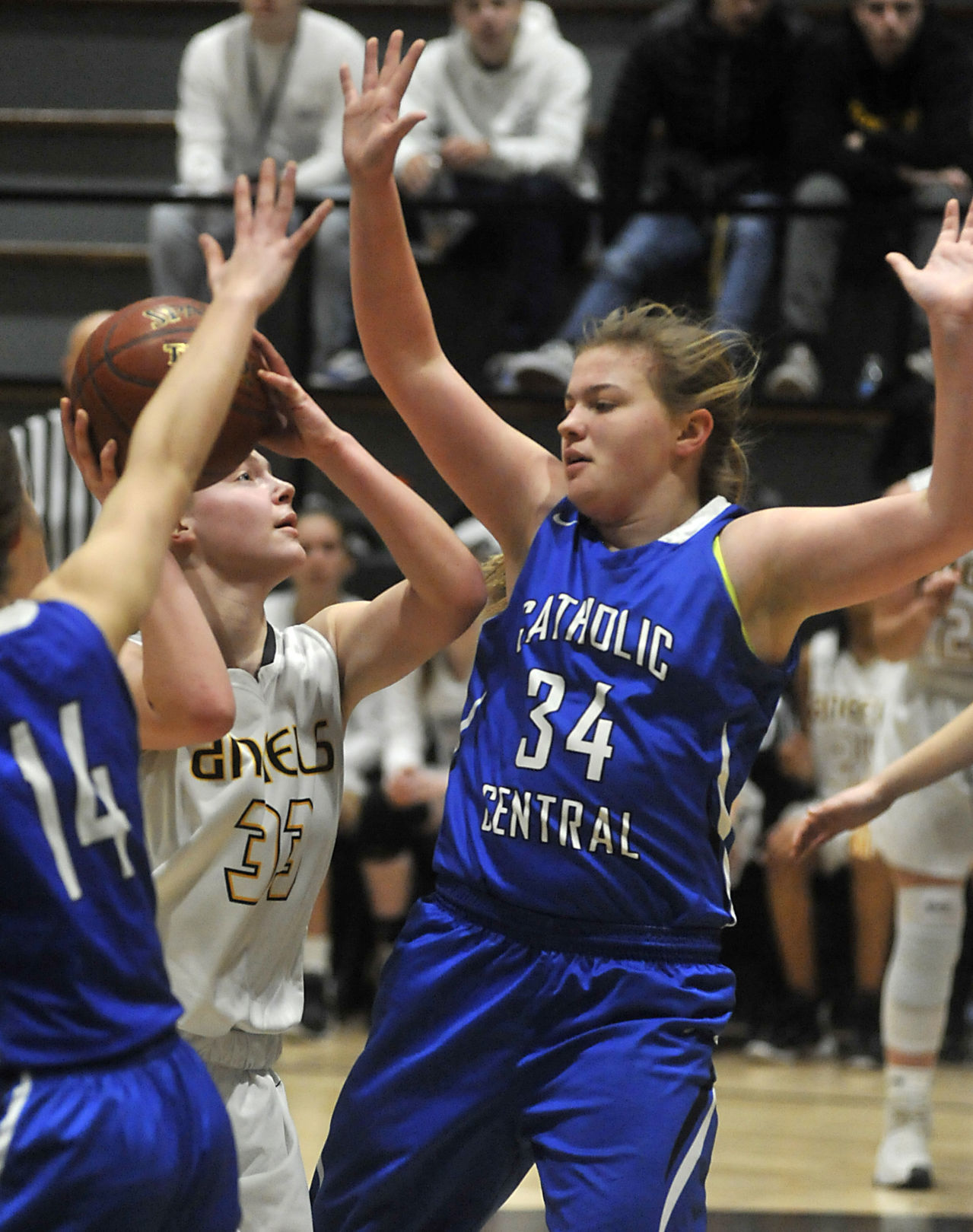 Catholic Central St. Catherine's Basketball
